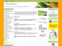 WellSoft Online